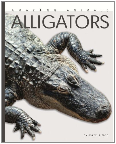 Amazing Animals: Alligators