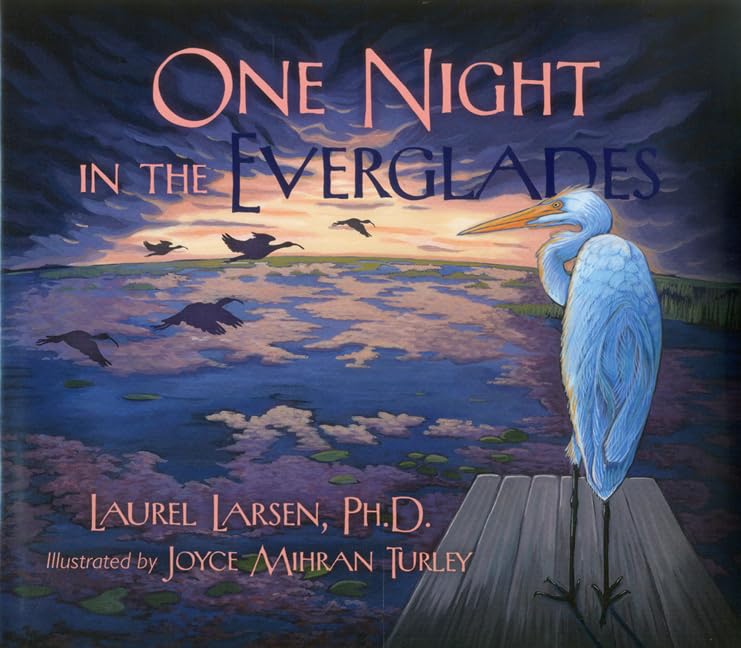 One Night in the Everglades (Long Term Ecological Research)