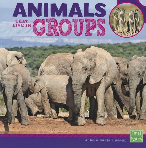 Animals That Live in Groups (Learn about Animal Behavior)