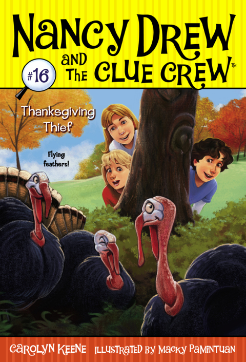 Thanksgiving Thief (Nancy Drew and the Clue Crew Book 16)