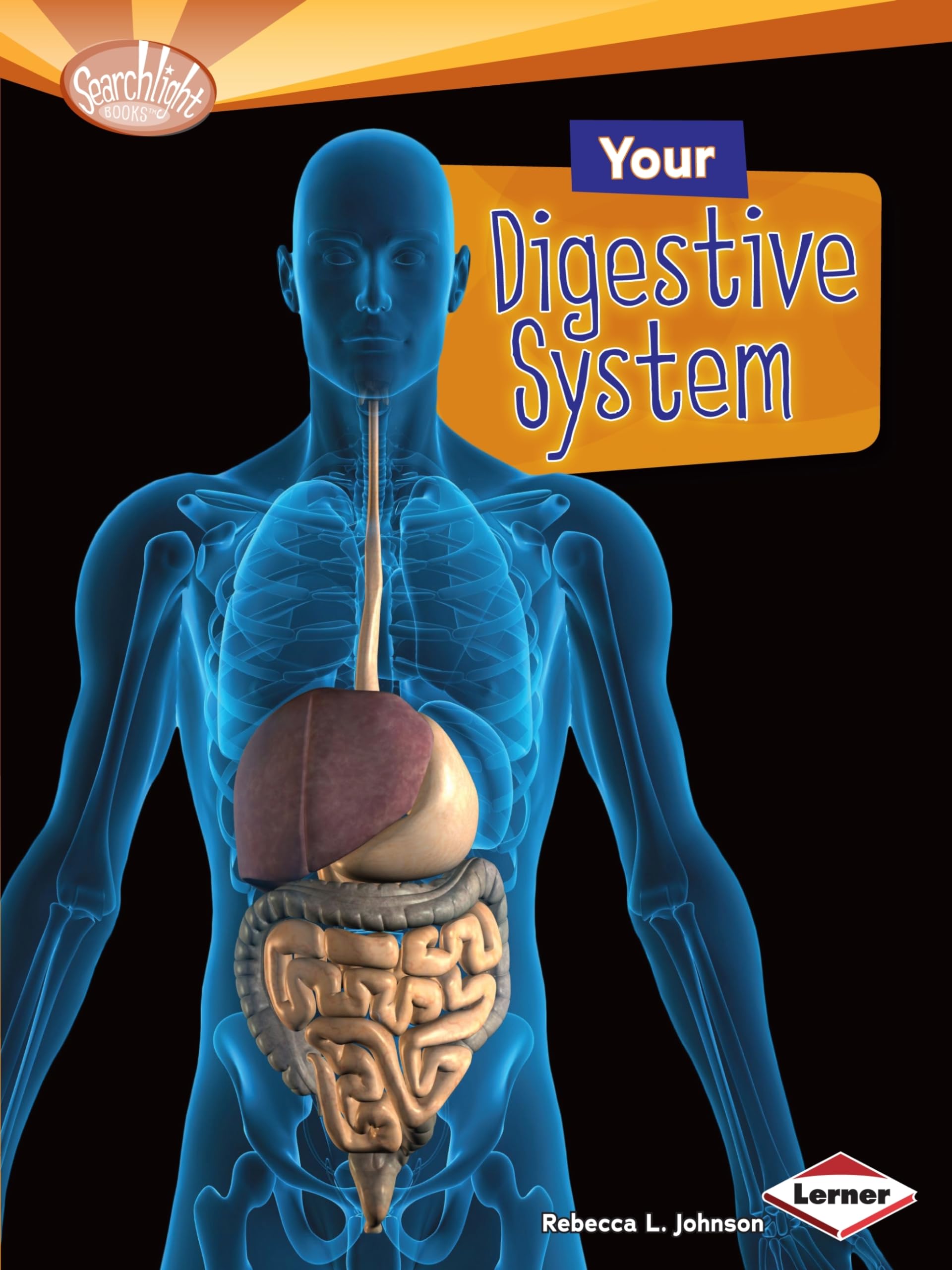 Your Digestive System (Searchlight Books ™ ― How Does Your Body Work?)