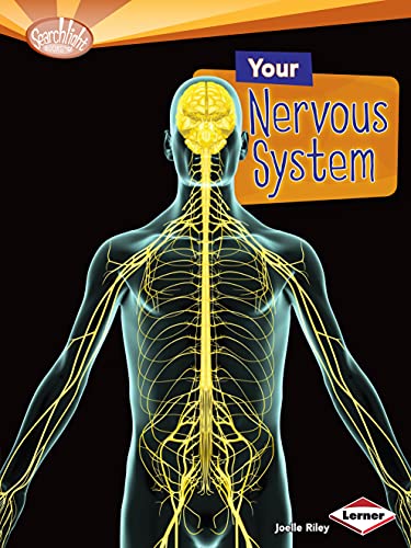 Your Nervous System (Searchlight Books ™ ― How Does Your Body Work?)