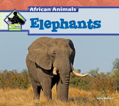 Elephants (African Animals)