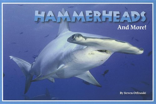 Hammerheads and More!