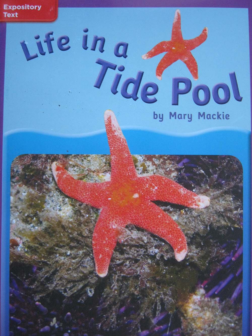 Reading Wonders Leveled Reader Life in a Tide Pool: ELL Unit 4 Week 3 Grade 3 (ELEMENTARY CORE READING)