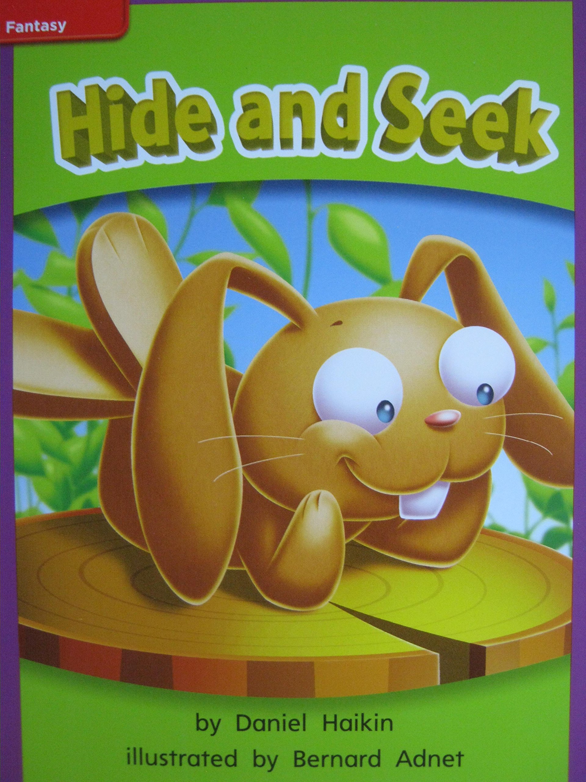 Reading Wonders Leveled Reader Hide and Seek!: ELL Unit 5 Week 2 Grade 1 (ELEMENTARY CORE READING)