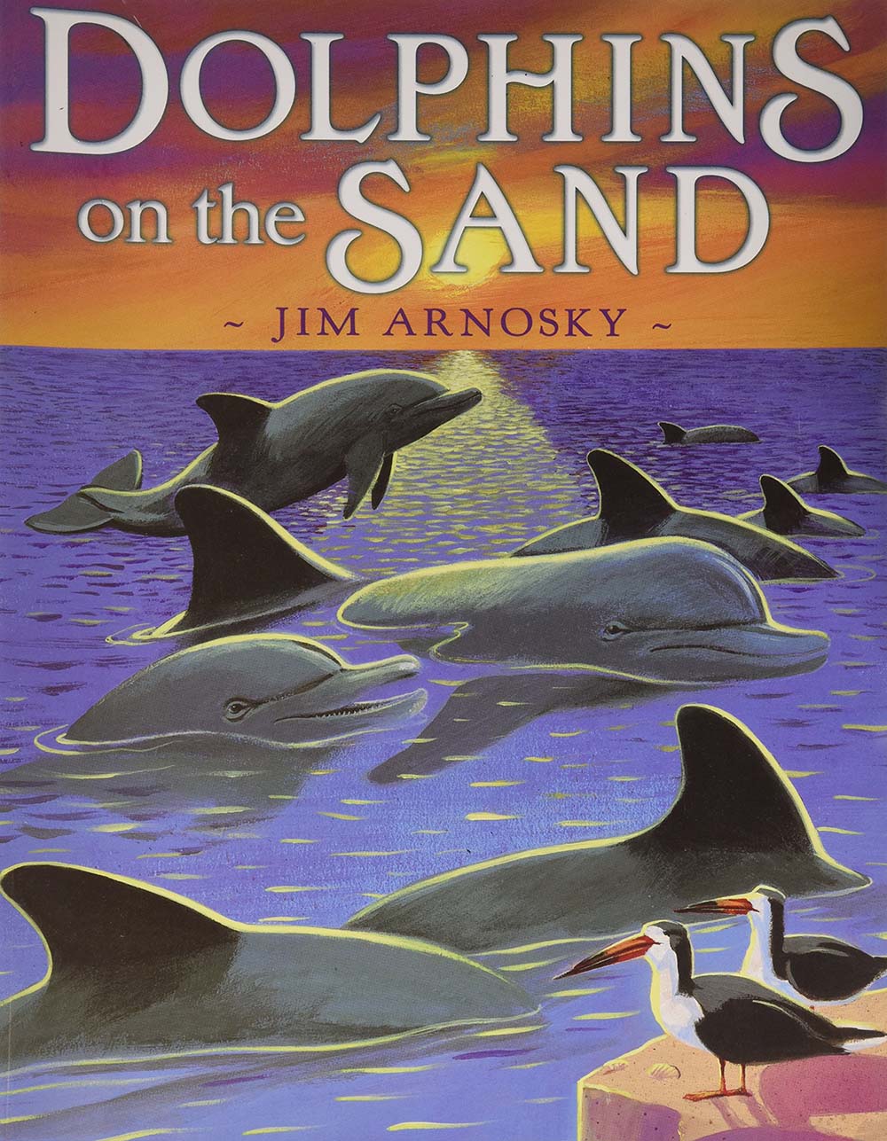 Dolphins on the Sand