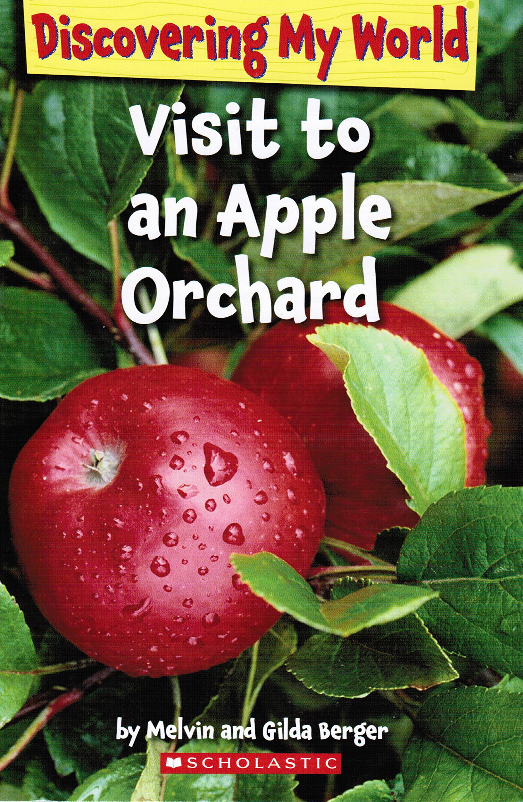 Visit to an Apple Orchard