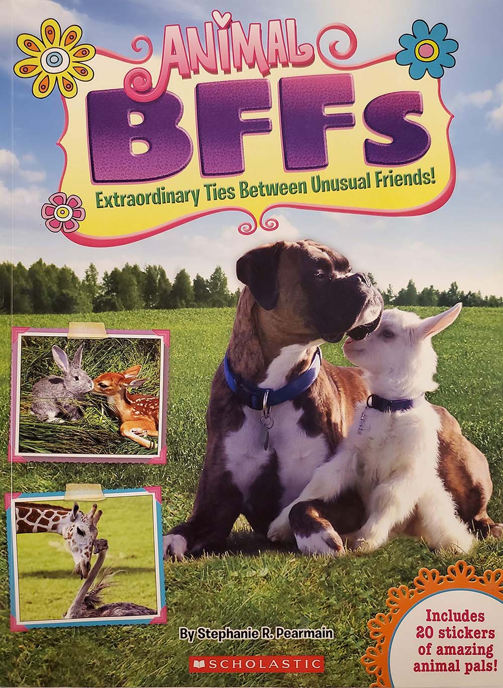 Animal BFFs