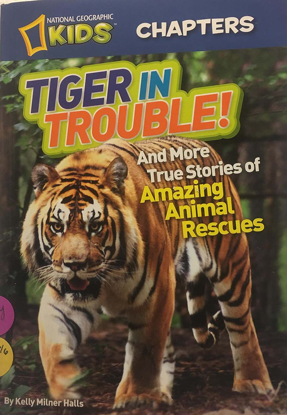 National Geographic Kids Chapters 4-pack Paperbacks: Tiger in Trouble!, Ape Escapes!, Animal Superstars!, Crocodile Encounters