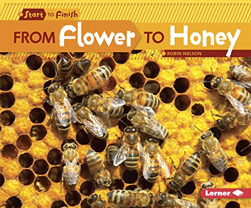 From Flower to Honey (Start to Finish, Second Series)