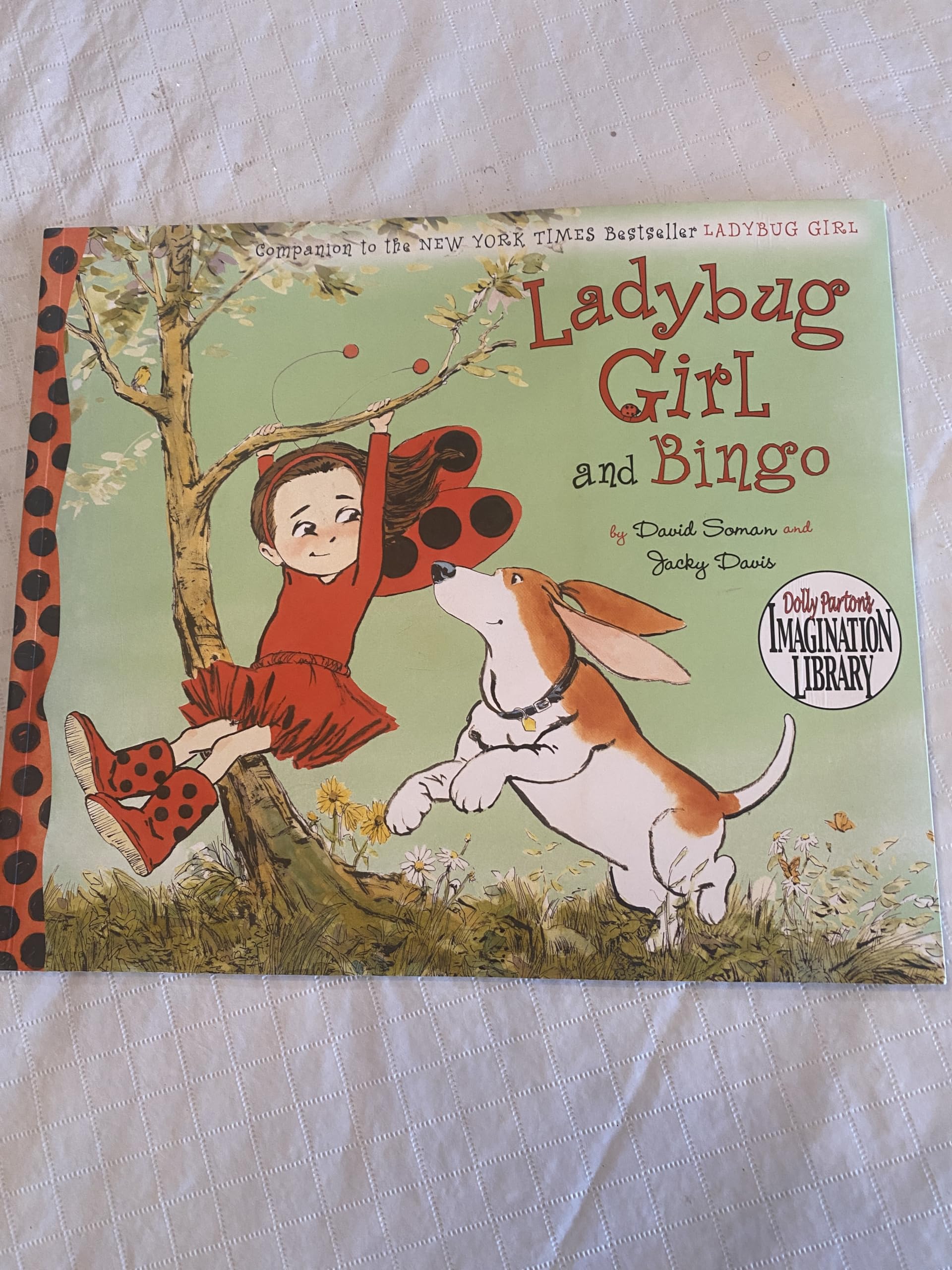 Ladybug Girl and Bingo