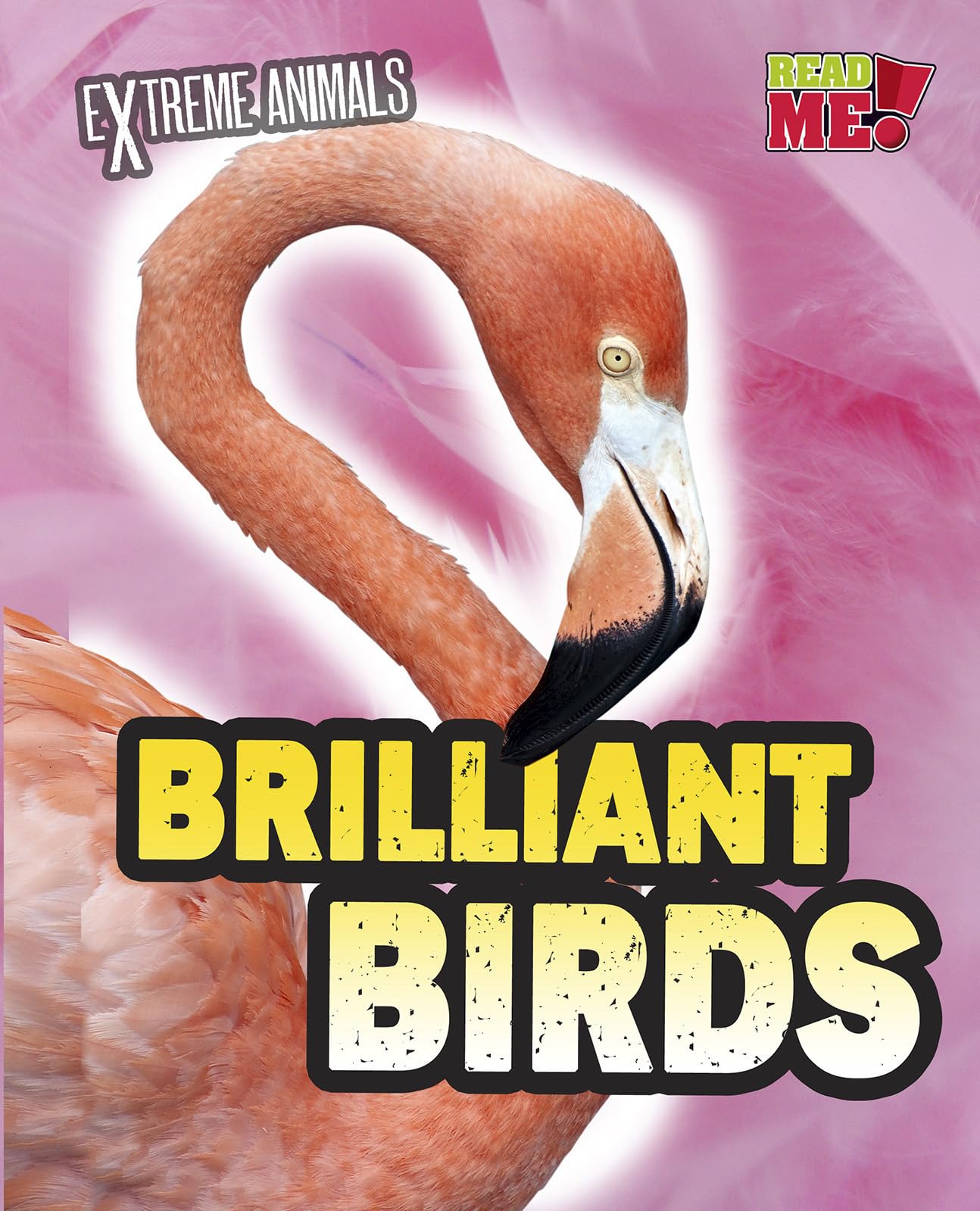 Brilliant Birds (Extreme Animals)