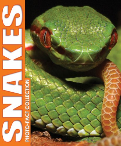 Snakes Photo Fact Collection