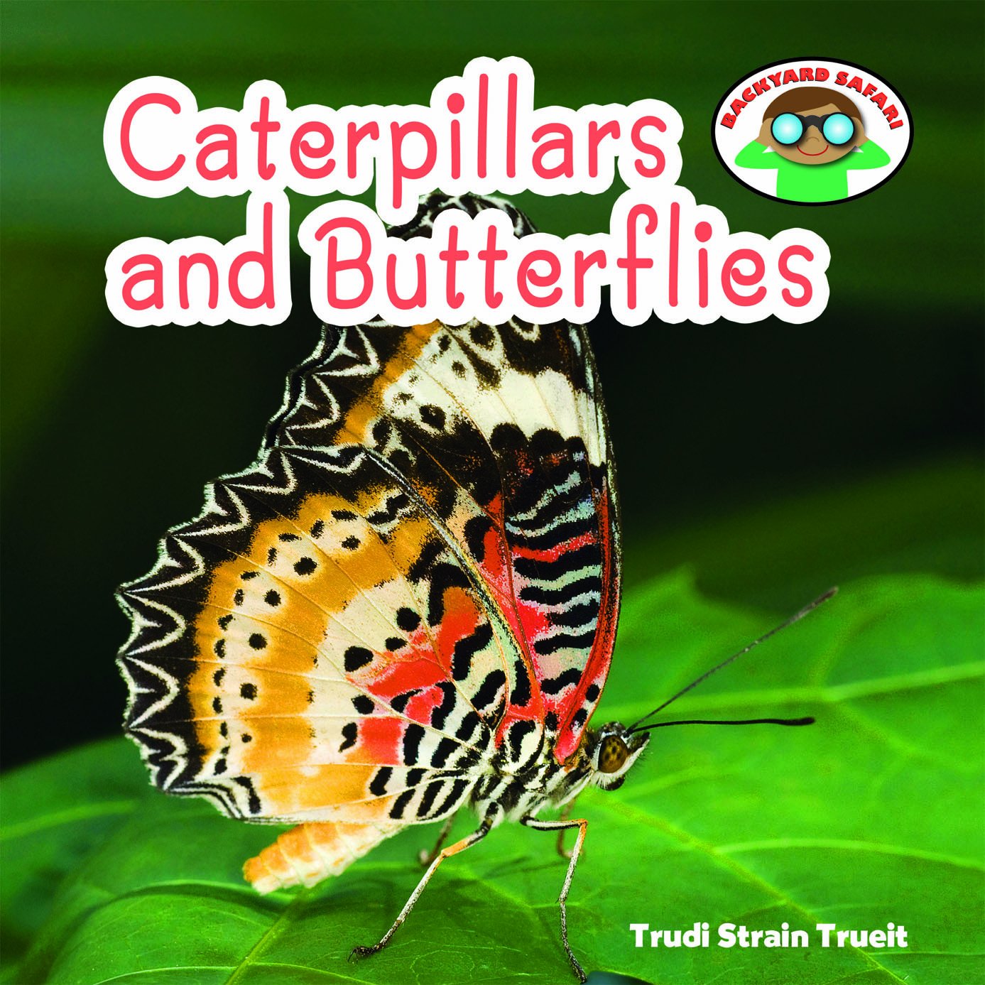 Caterpillars and Butterflies (Backyard Safari)