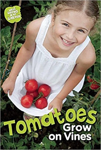 Tomatoes Grow on Vines