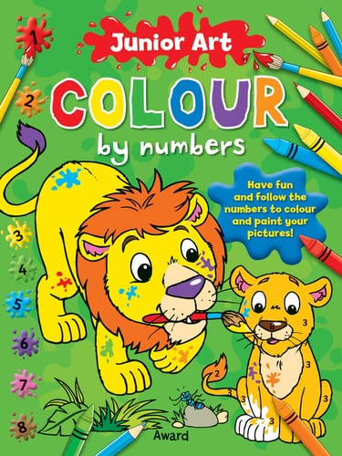 Junior Art Colour By Numbers Lion
