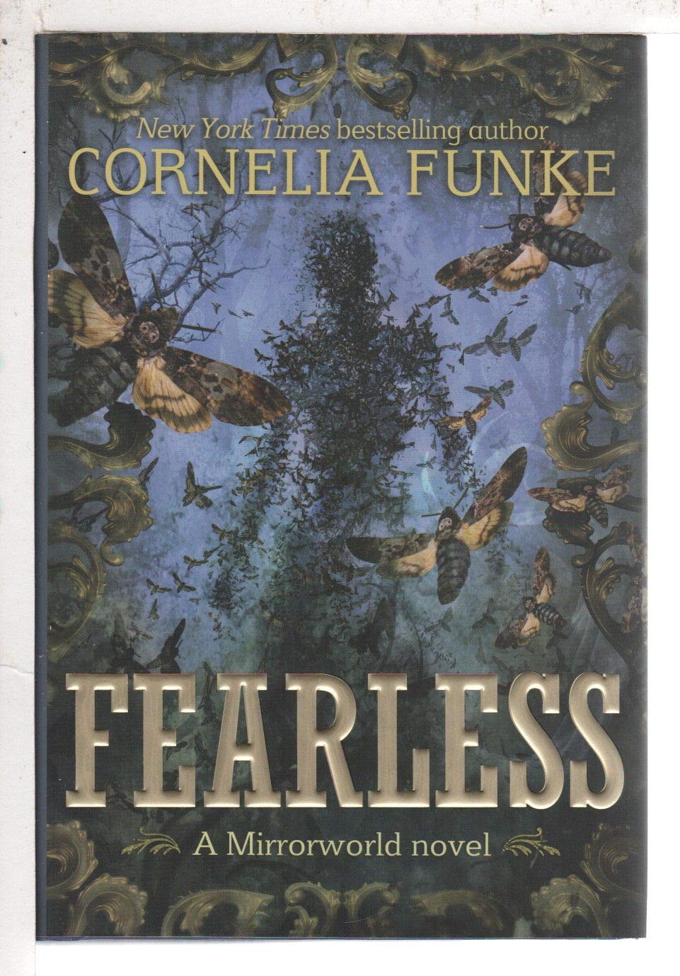 Fearless (Mirrorworld)