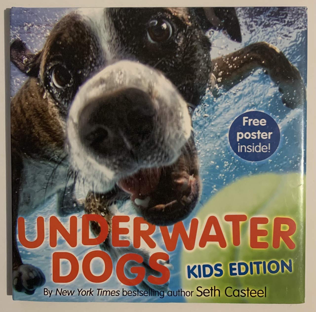 Underwater Dogs: Kids Edition