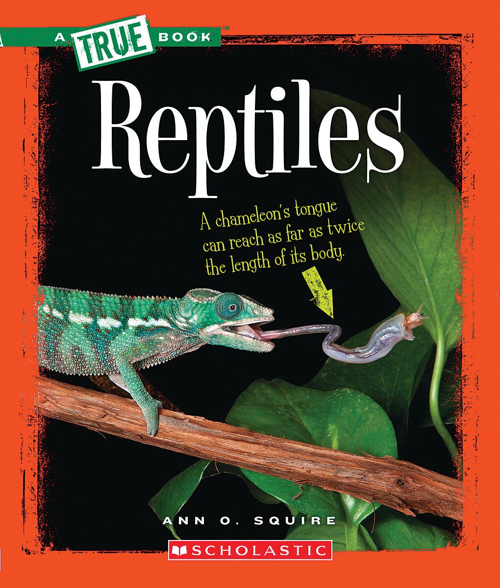 Reptiles (A True Book: Animal Kingdom)