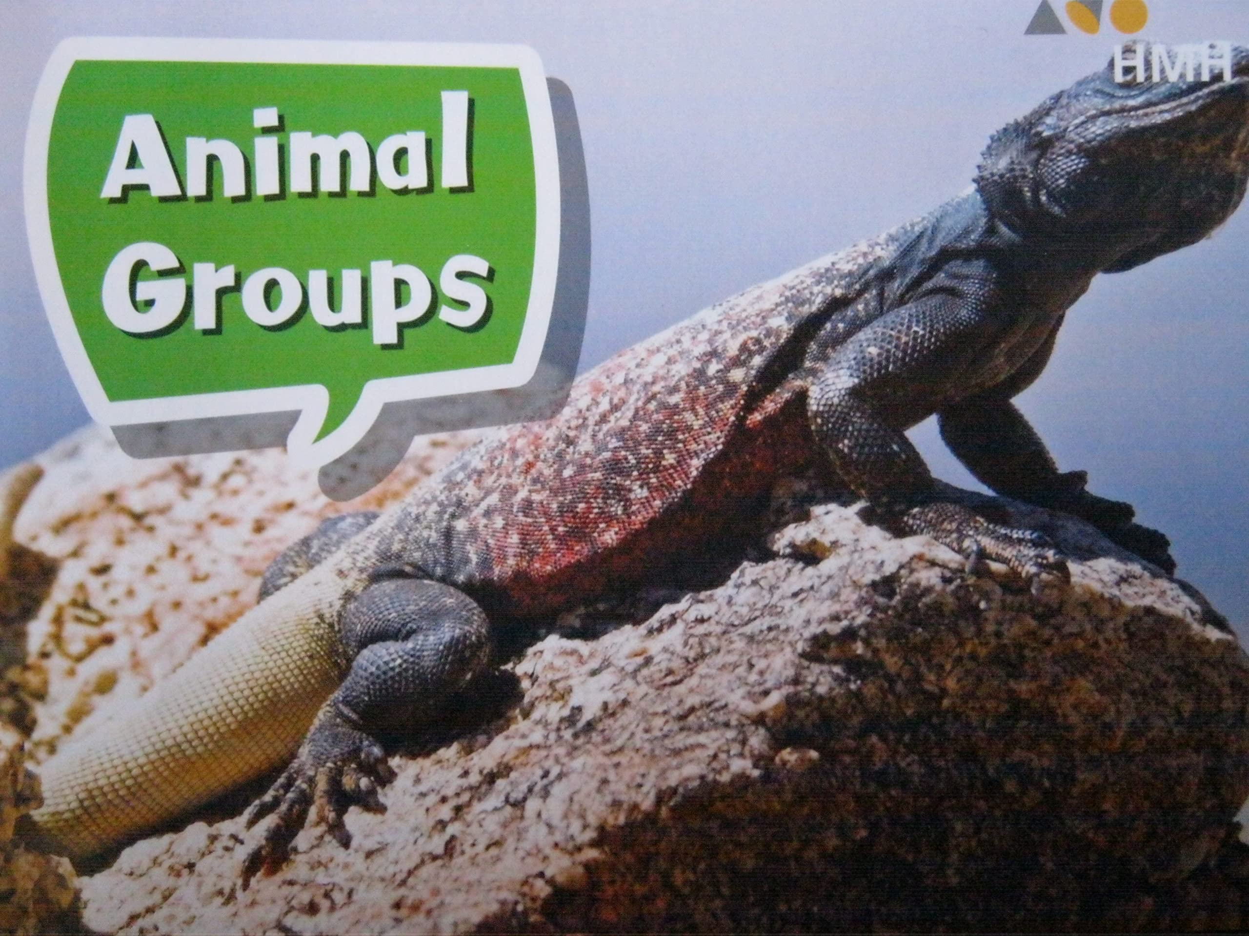 Book 029: Animal Groups: Leveled Reader, Enrichment Grade K (Science and Engineering Leveled Readers)