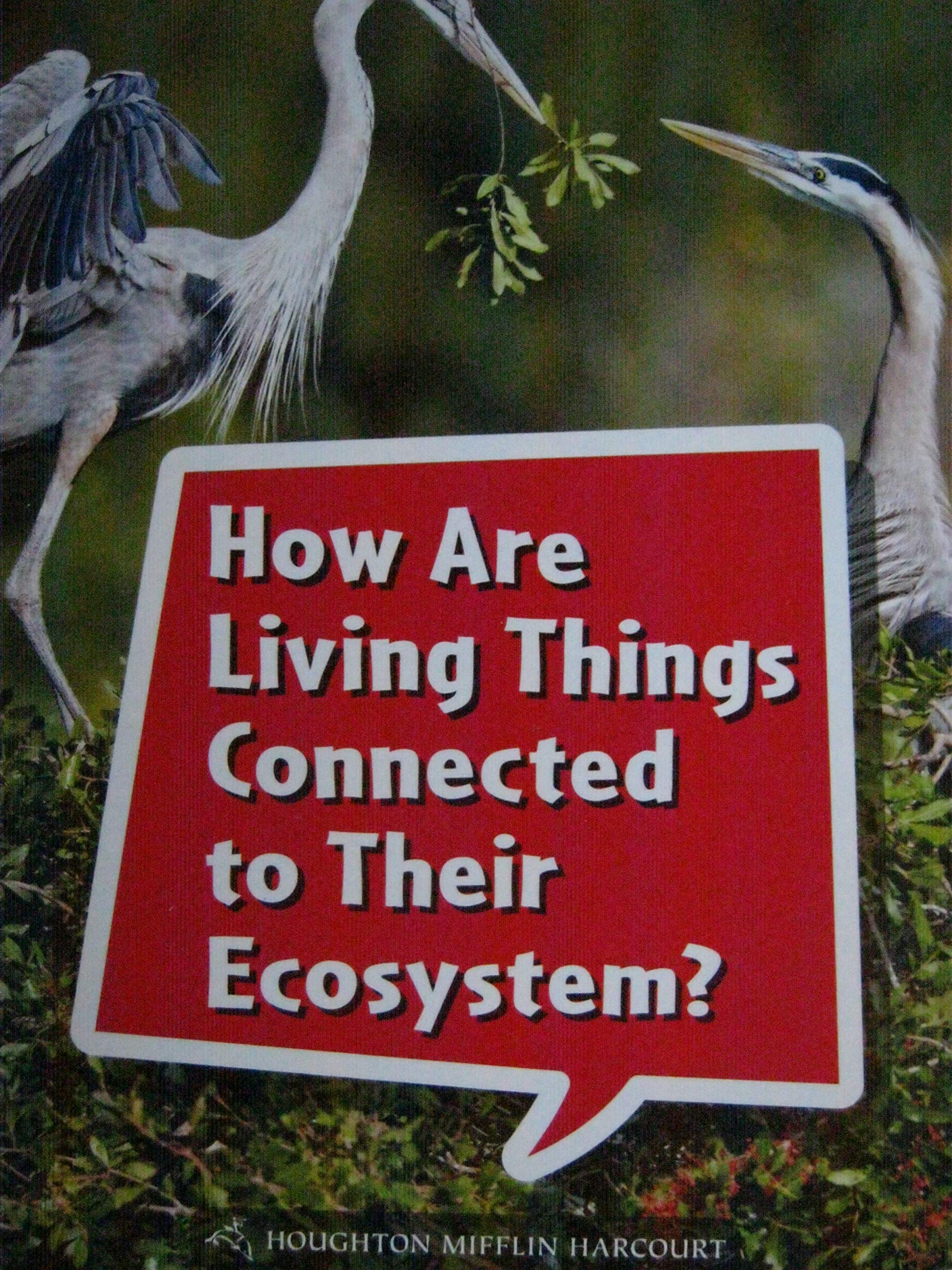 Book 100: How Are Living Things Connected to Their Ecosystem?: Leveled Reader, Extra Support Grade 3 (Science and Engineering Leveled Readers)