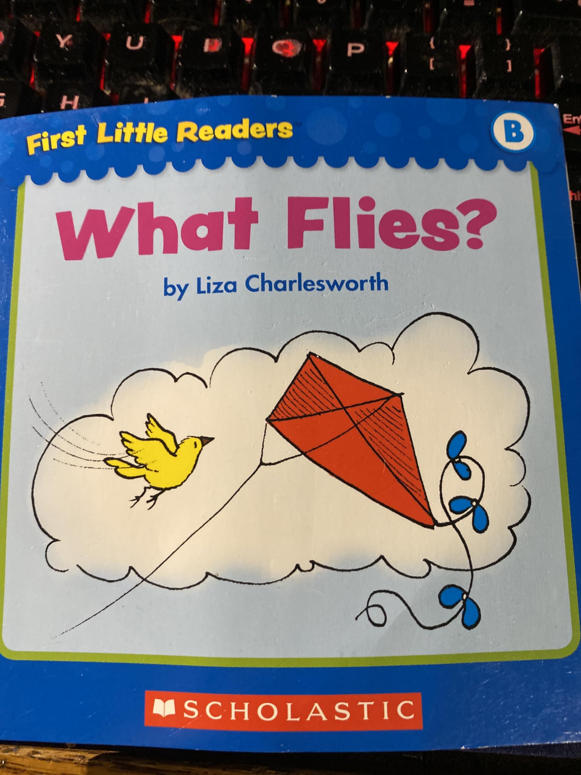 WHAT FLIES?