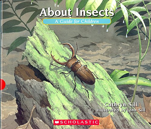 About Insects: A Guide For Children