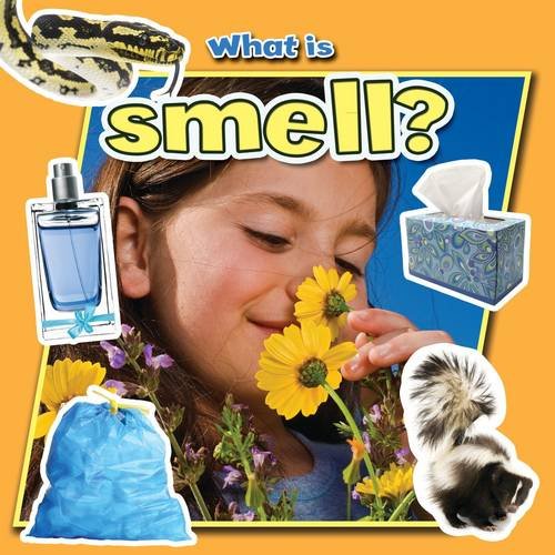 What Is Smell? (Senses Close-Up)