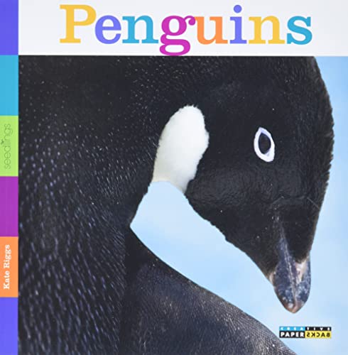 Seedlings: Penguins