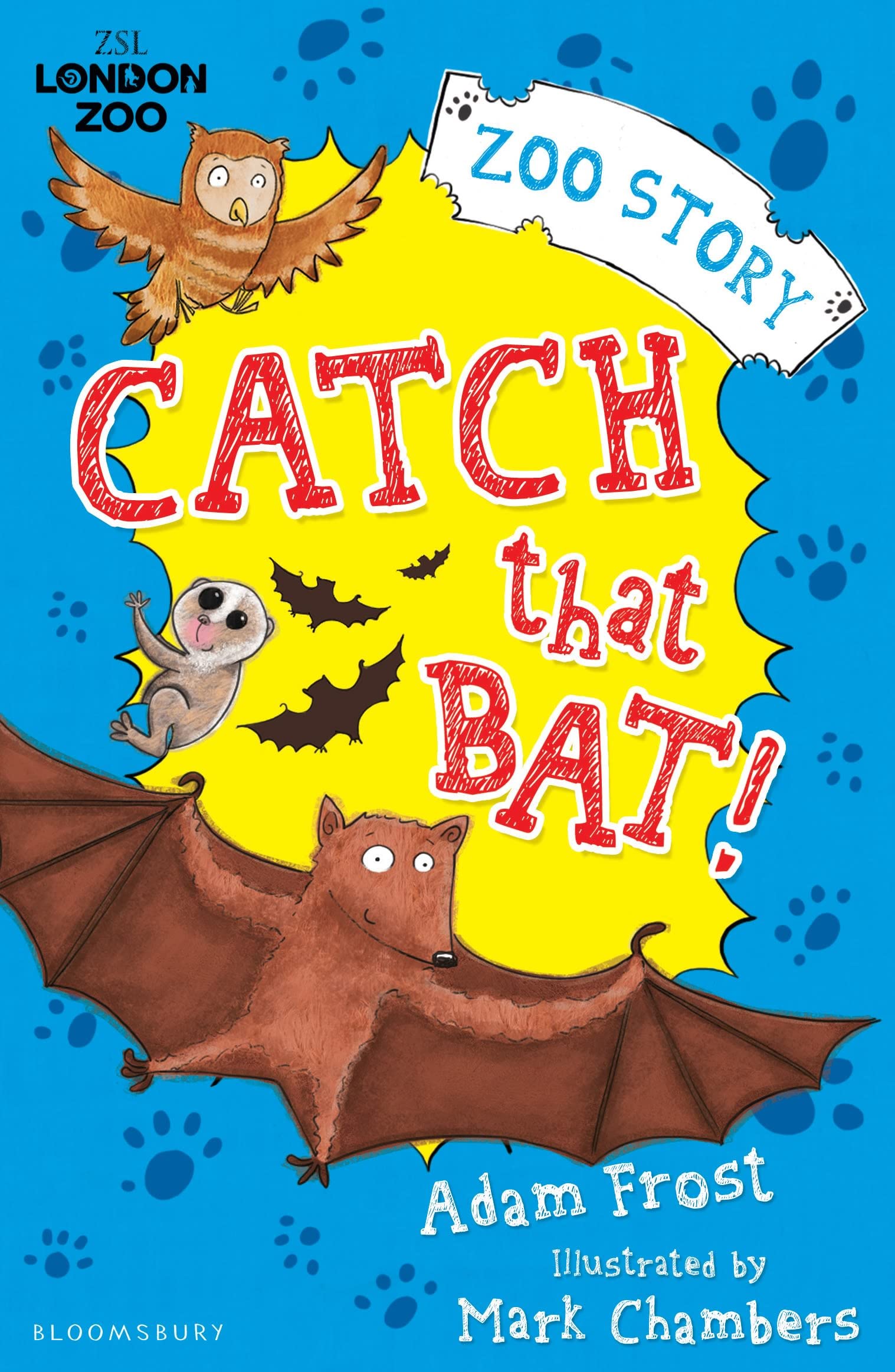 Catch That Bat! (Zsl London Zoo)