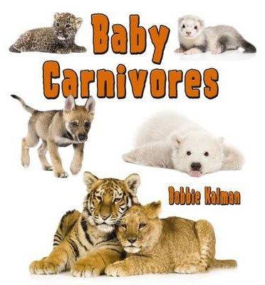 I Can Write A Book! - Countries By Bobbie Kalman