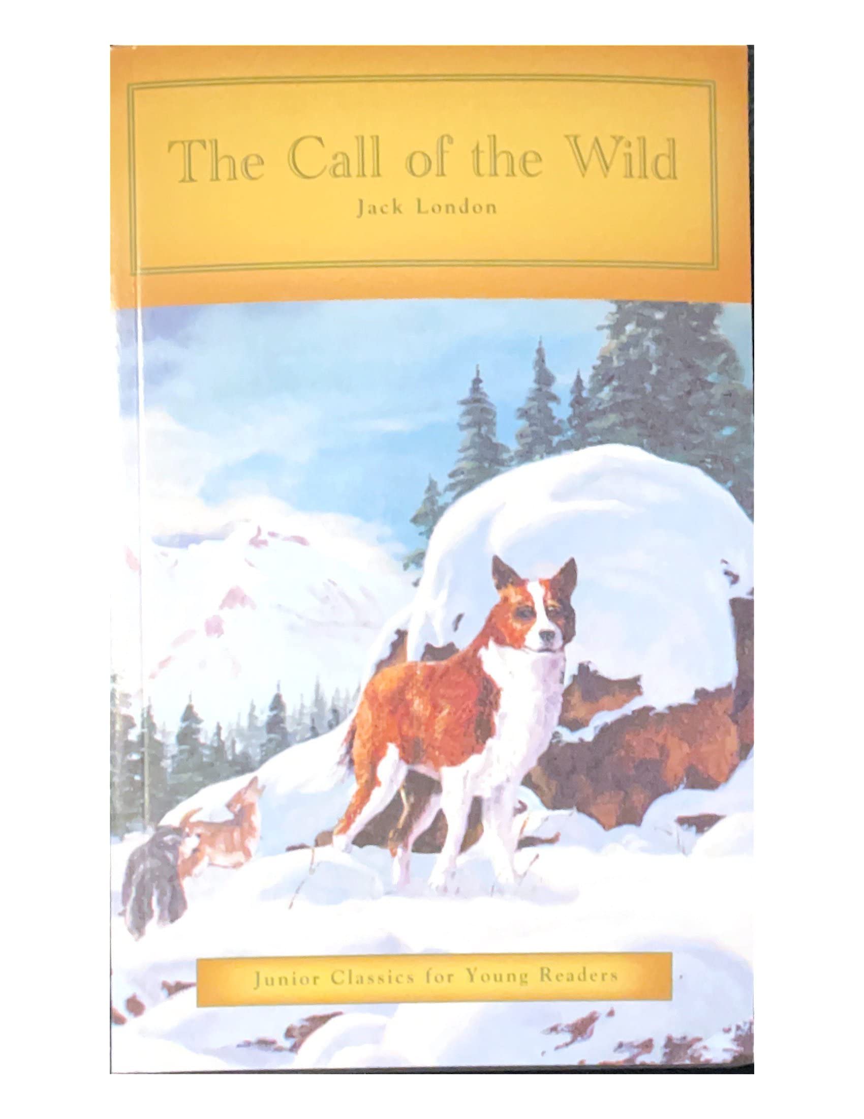 The Call of the Wild (Junior Classics for Young Readers)