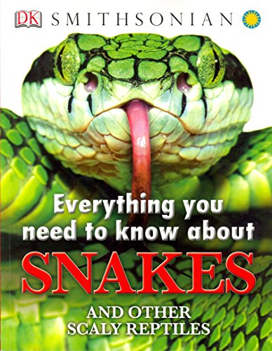 Everything You Need to Know About Snakes and Other Scaly Reptiles