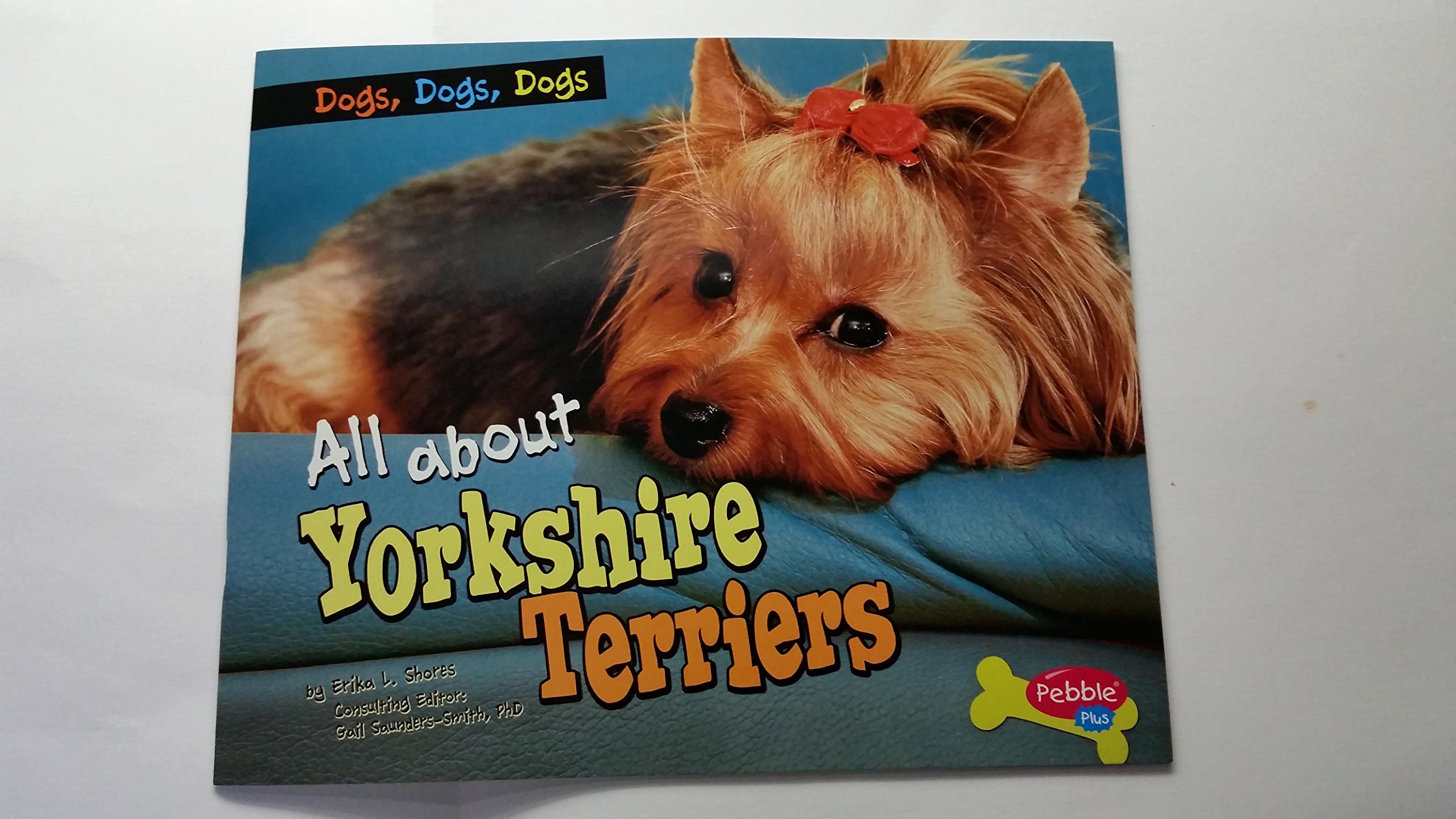 All About Yorkshire Terriers