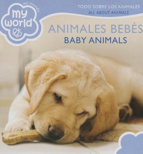 Animales Bebes / Baby Animals: Todo Sobre Los Animalse / All About Animales (Mi Mundo / My World) (Spanish and English Edition)