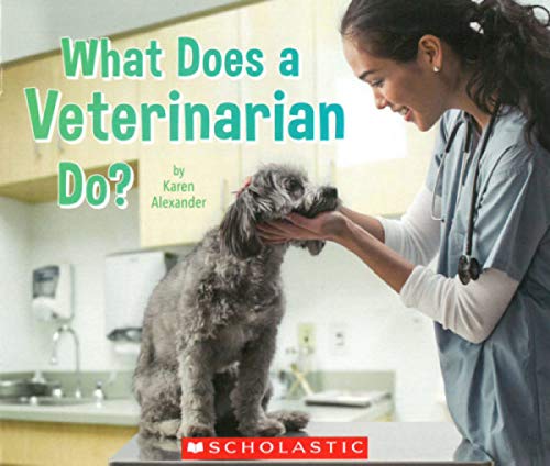 What Does a Veterinarian Do?