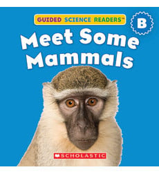 Animals: Meet some mammals