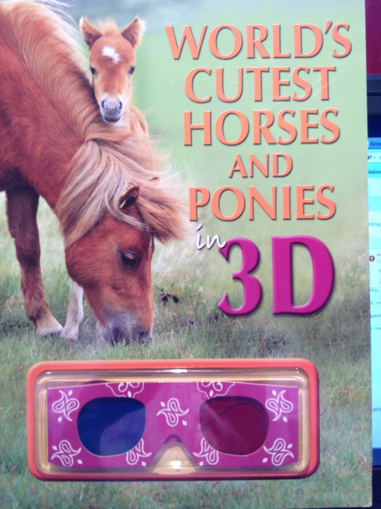 World's Cutest Horses and Ponies in 3d