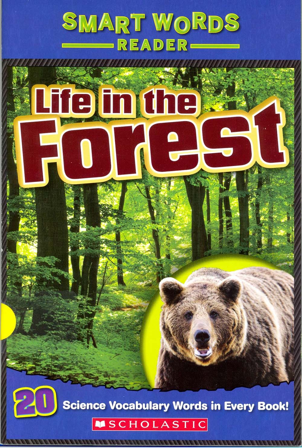 Life in the Forest