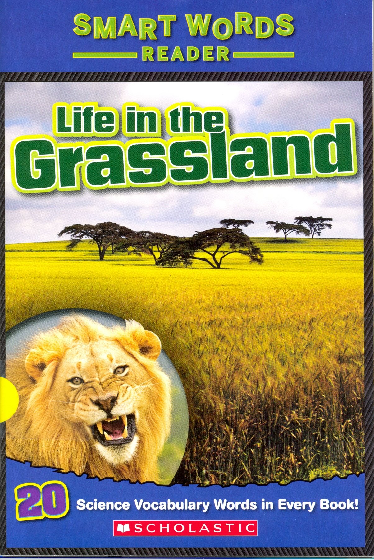 Life in the Grassland