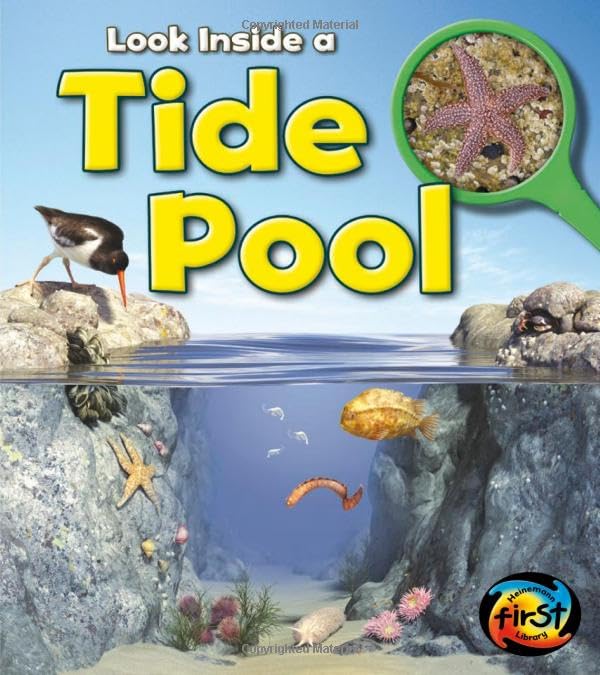 Tide Pool: Look Inside