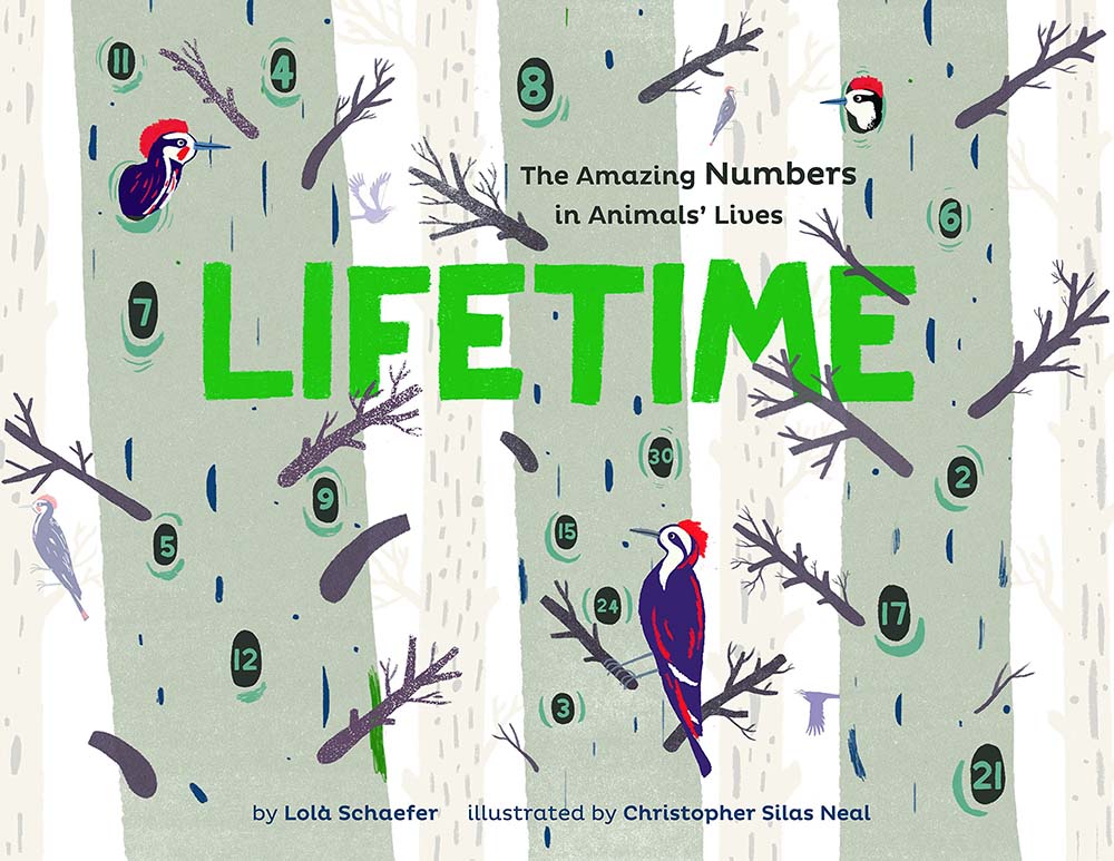 Lifetime: The Amazing Numbers in Animal Lives