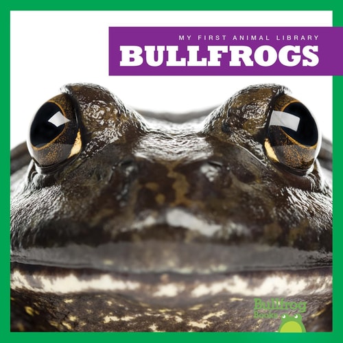 Bullfrogs (Bullfrog Books: My First Animal Library)