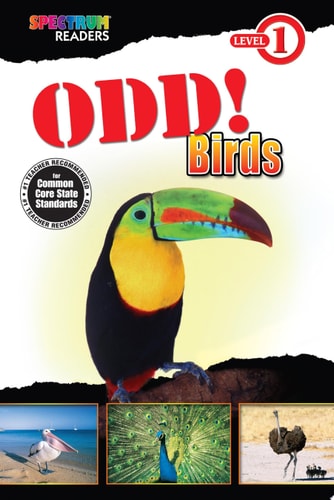 Odd! Birds Level 1