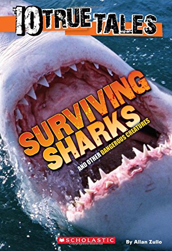 Surviving Sharks (10 True Tales)