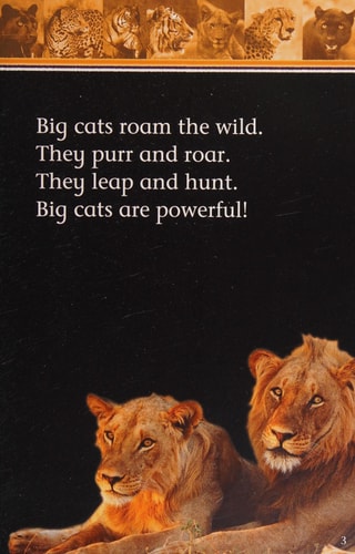 ROAR! Big Cats Level 1