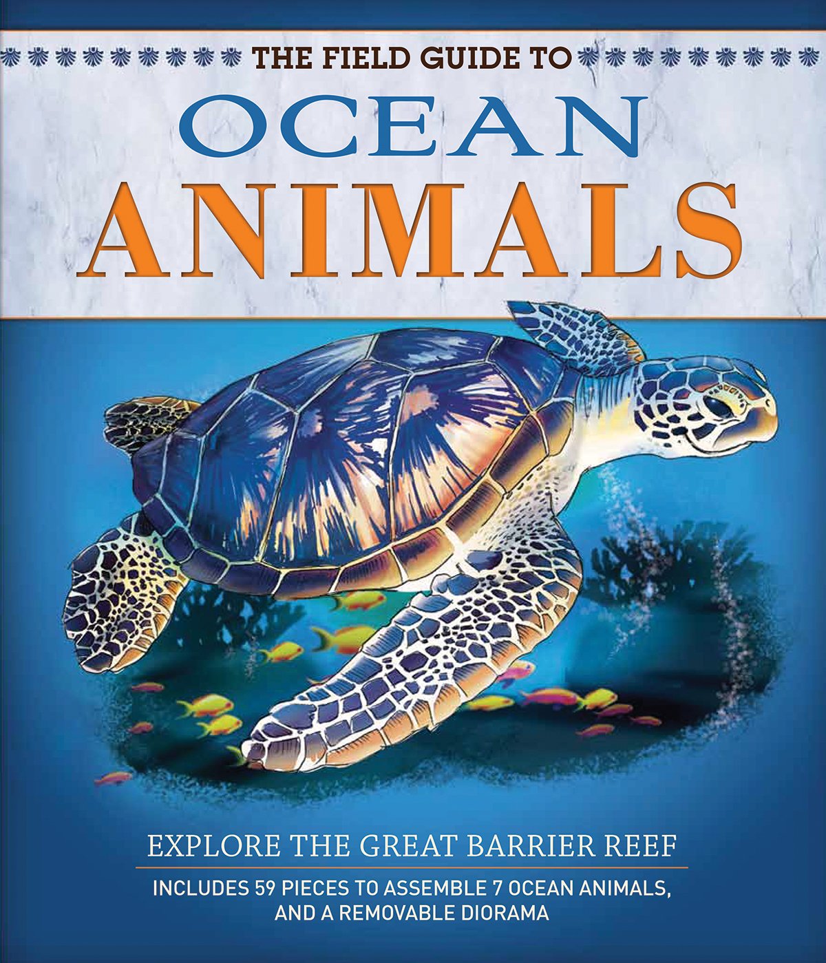 The Field Guide to Ocean Animals (Field Guides)