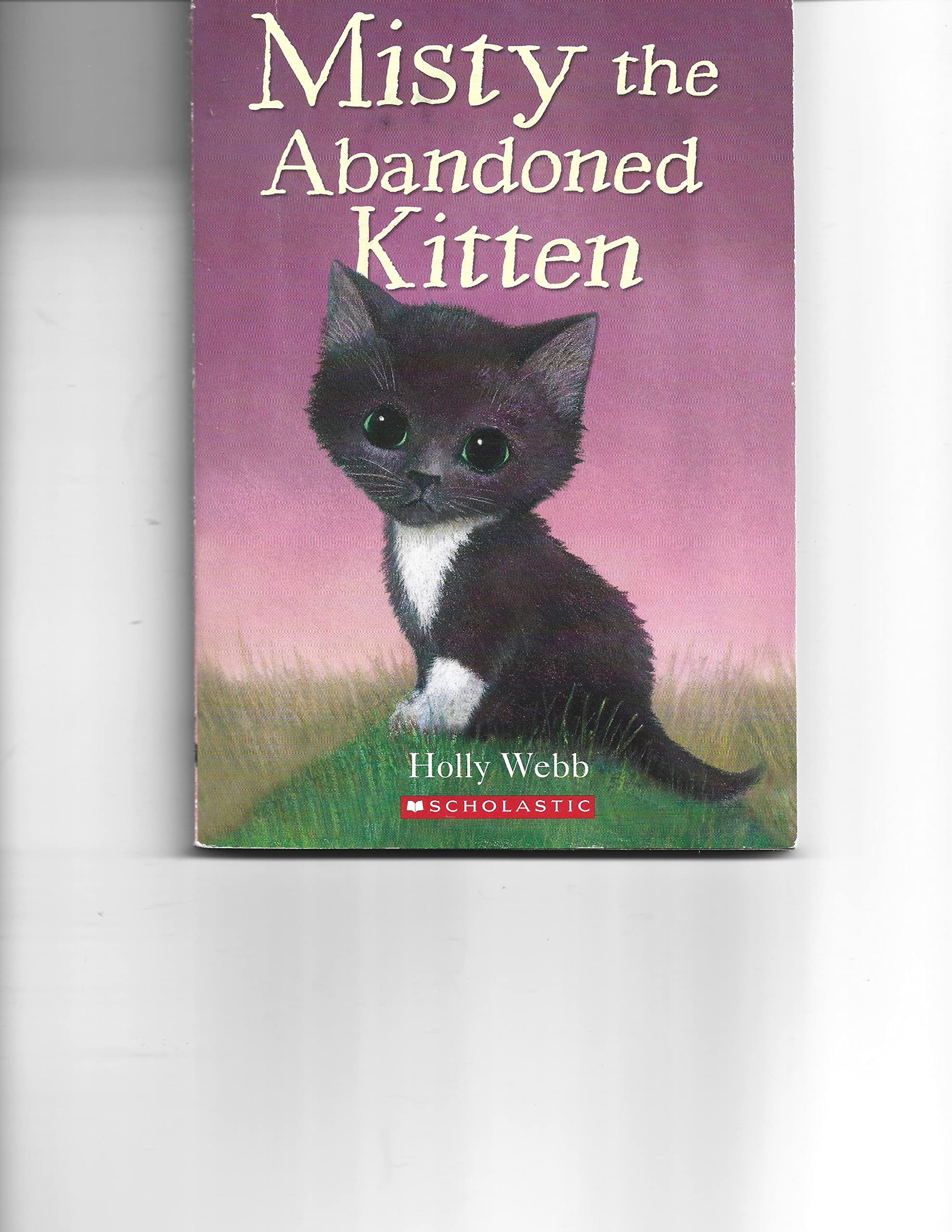 Ginger the Stray Kitten & Misty the Abandoned Kitten Set of 2 Paperback Books By Holly Webb- From the Animal Stories Collection!