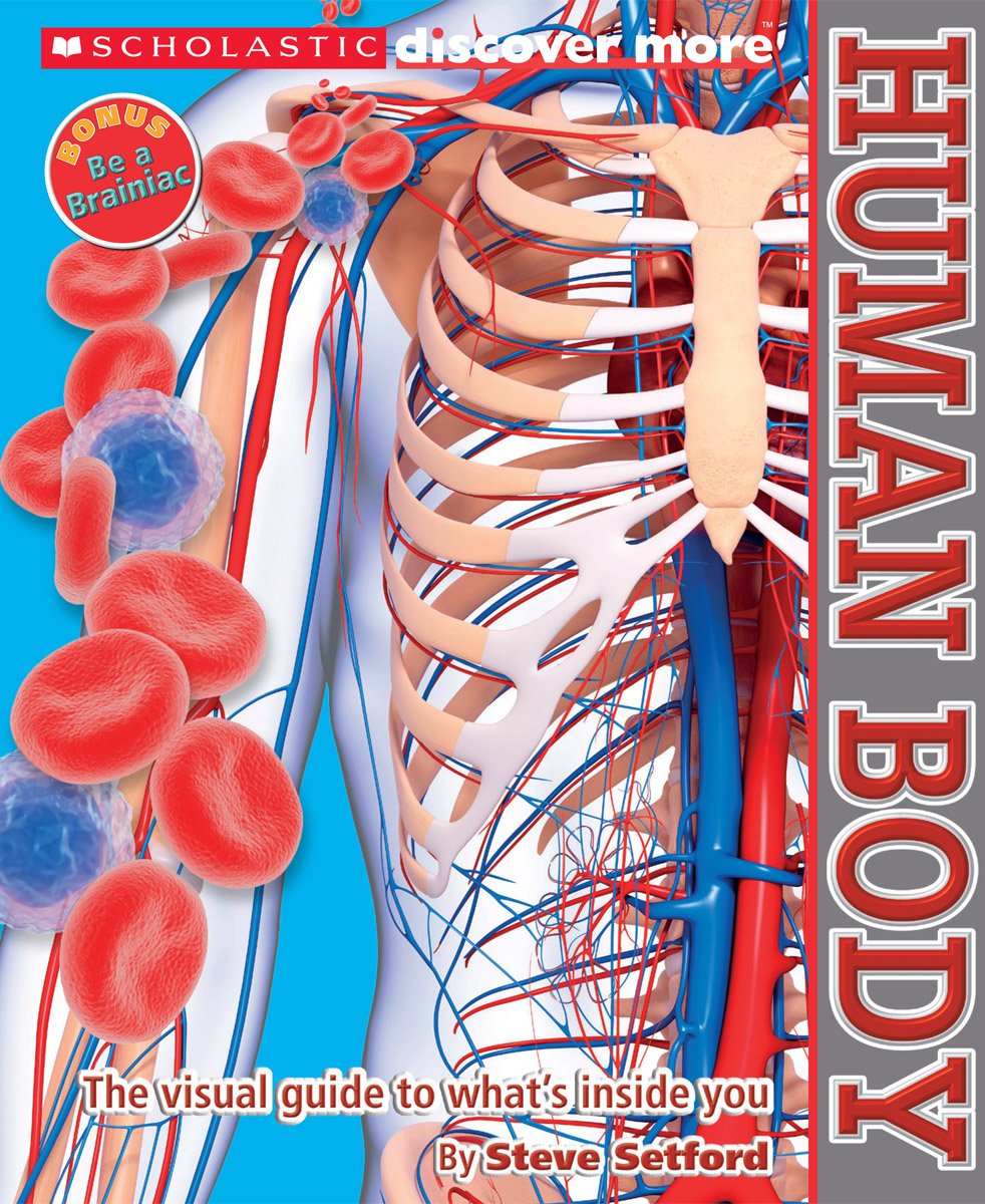 Scholastic Discover More: Human Body